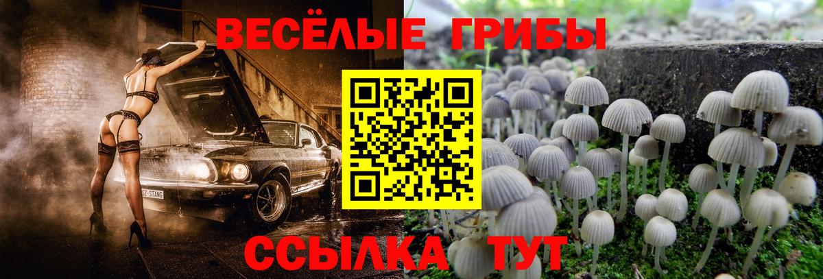 Галлюциногенные грибы ЛСД  Вход с VPN  Гатчина 
