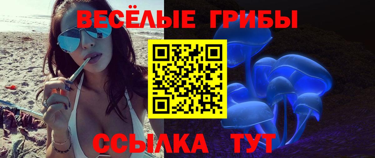 Галлюциногенные грибы Cubensis Гатчина