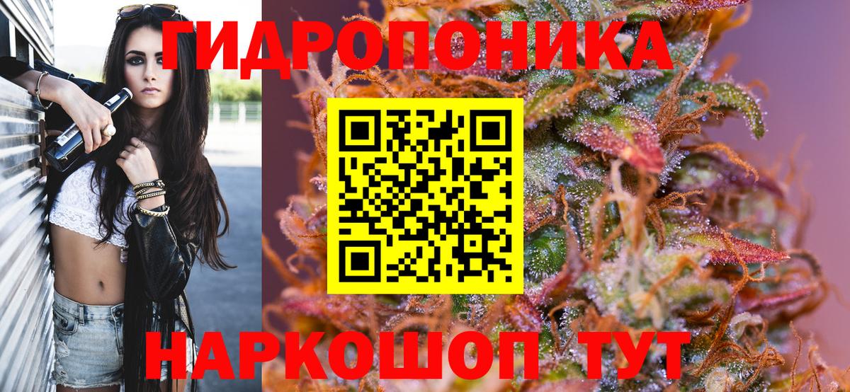 Гатчина  Марихуана VHQ  Вход с VPN  Канабис конопля 